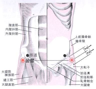 還跳穴|醫砭 » 經穴庫 » 環跳